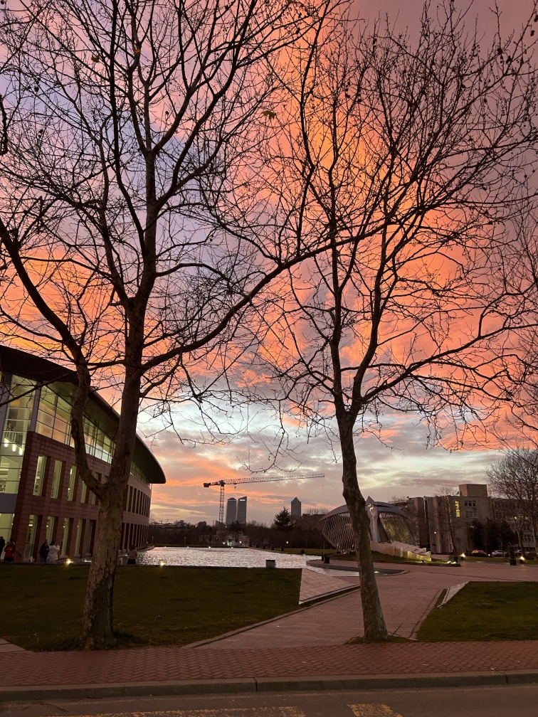 Istanbul Technical University